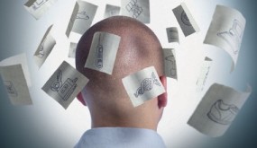 Small Business Expert’s Guide to Success